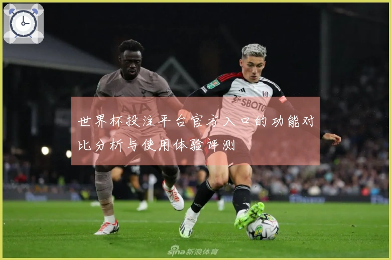 世界杯投注平台官方入口的功能对比分析与使用体验评测