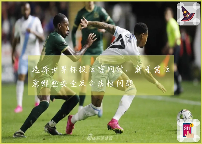 选择世界杯投注官网时，新手需注意哪些安全及合法性问题