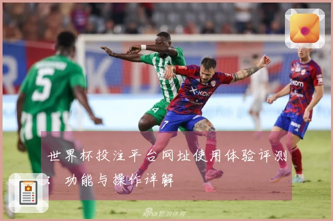 世界杯投注平台网址使用体验评测:功能与操作详解
