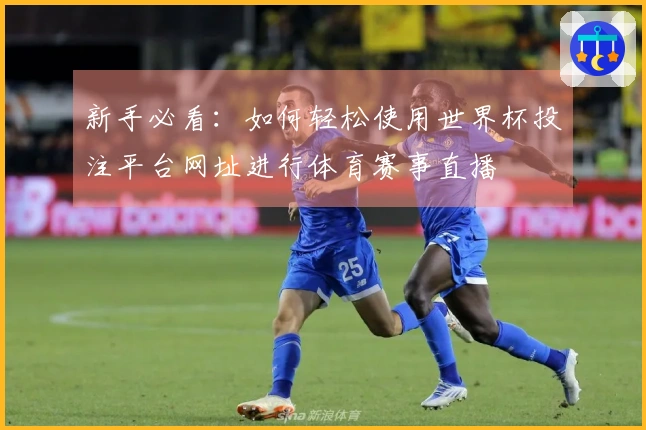 新手必看:如何轻松使用世界杯投注平台网址进行体育赛事直播
