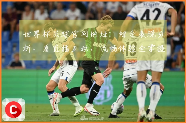 世界杯买球官网地址：综合表现分析，看直播互动，流畅体验全掌握