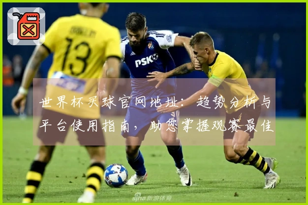 世界杯买球官网地址:趋势分析与平台使用指南,助您掌握观赛最佳入口