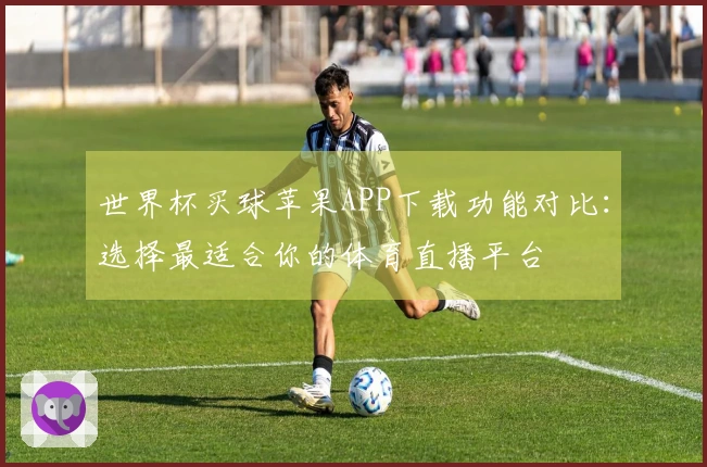 世界杯买球苹果APP下载功能对比：选择最适合你的体育直播平台