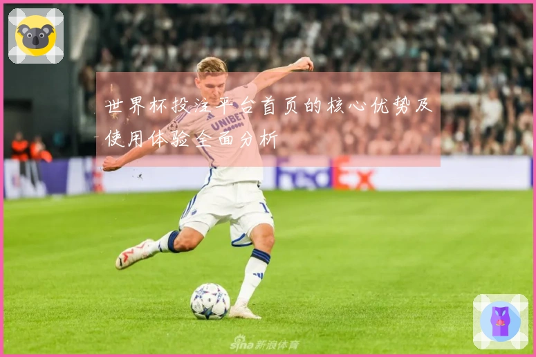 世界杯投注平台首页的核心优势及使用体验全面分析