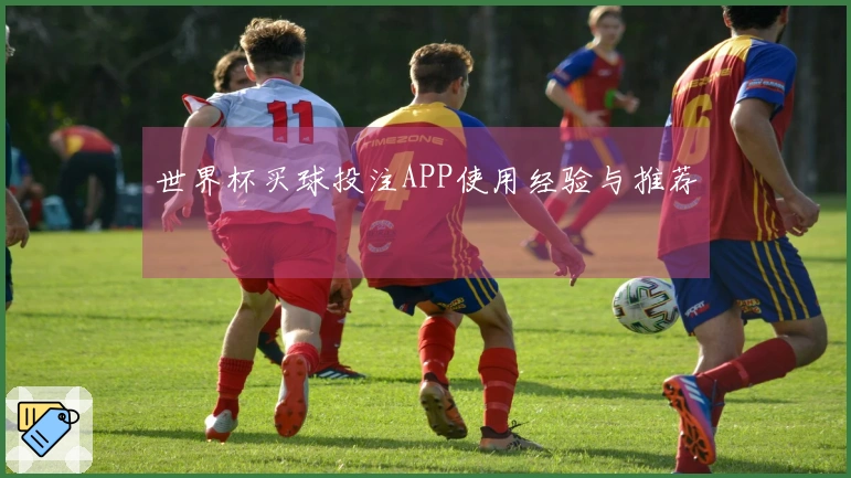 世界杯买球投注APP使用经验与推荐