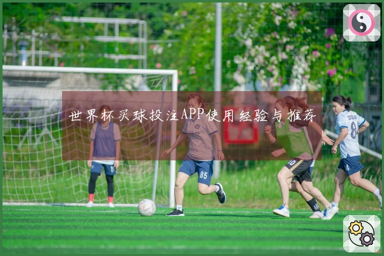 世界杯买球投注APP使用经验与推荐