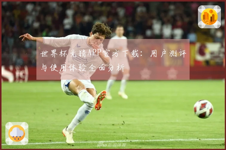 世界杯竞猜APP官方下载：用户测评与使用体验全面分析