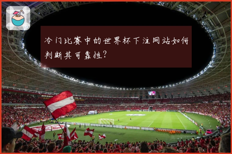 冷门比赛中的世界杯下注网站如何判断其可靠性？