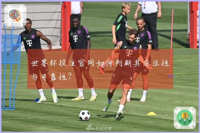 世界杯投注官网如何判断其合法性与可靠性？
